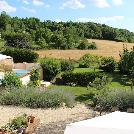 Les Hirondelles